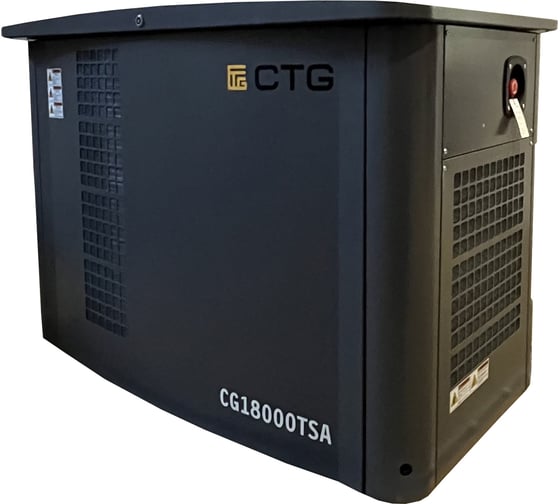 Электроагрегат газопоршневой CG18000SA в кожухе CTG 4687204619069