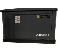 Электроагрегат газопоршневой CG10000SA в кожухе CTG 4687204619052