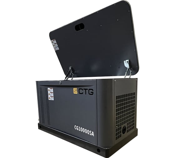 Электроагрегат газопоршневой CG10000SA в кожухе CTG 4687204619052
