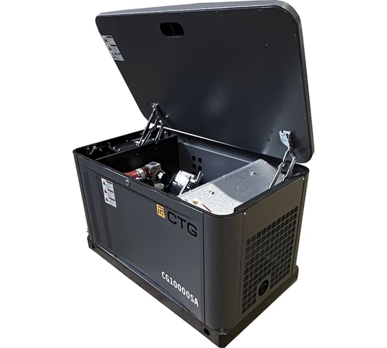 Электроагрегат газопоршневой CG10000SA в кожухе CTG 4687204619052