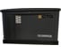 Электроагрегат газопоршневой CG10000SA в кожухе CTG 4687204619052 1