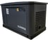 Электроагрегат газопоршневой CG10000SA в кожухе CTG 4687204619052 5