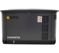 Электроагрегат газопоршневой CTG CU25000TSA в кожухе 4687204619090