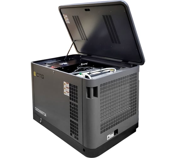 Электроагрегат газопоршневой CTG CU25000TSA в кожухе 4687204619090