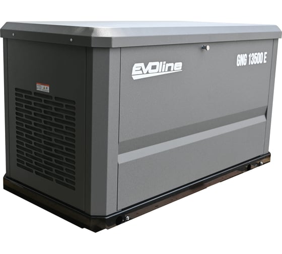 Генератор газовый Evoline GNG 13500 E GNG13500E