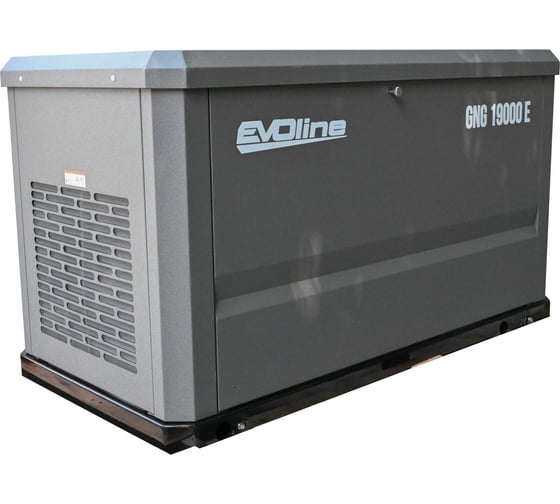 Генератор газовый Evoline GNG 19000 E GNG19000E