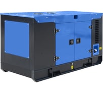 Дизельный генератор ТСС АД-12С-230-1РКМ11 в шумозащитном кожухе 029087