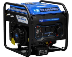 ECO PE-10000ESI EC1710-3 — фото
