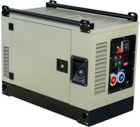Бензогенератор FOGO FV 20000 CRA 30296