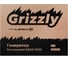 Бензиновый генератор Grizzly GEGG-7500 15