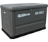 Генератор газовый Evoline GNG 9350 E GNG9350E 1