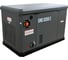 Генератор газовый Evoline GNG 9350 E GNG9350E 2