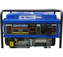 Бензиновый генератор ECO PE-7001RS