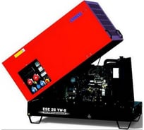 Дизельная электростанция ENDRESS ESE 20 YW-B 310012