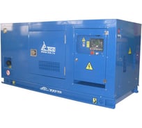 Дизельная электростанция ТСС АД-12С-230-2РПМ10 Lester 111935