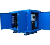 Дизельная электростанция под капотом ТСС ДГУ АД-11С-230-2РПМ12 Lester 111955