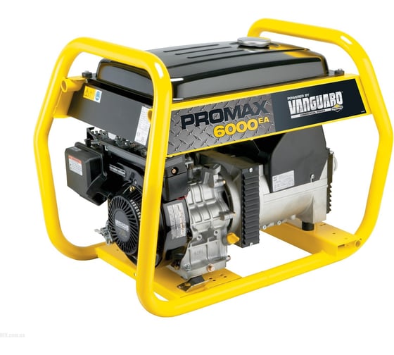 Генератор Briggs&Stratton ProMax 6000 EA 030402 1