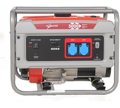 Бензогенератор Expert-bis Expert 3000 263297