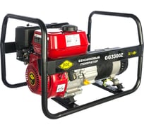 Бензиновый генератор DDE GG3300Z