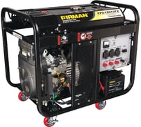 Передвижная бензиновая электростанция FIRMAN FPG12010ТE