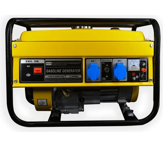 Бензиновый генератор Turbosky BG-2500 8105_a