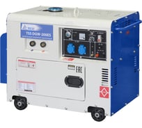 Дизельный сварочный генератор ТСС DGW-200ES 017452
