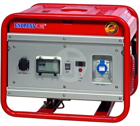 Бензиновая электростанция ENDRESS ESE 306 SG-GT Duplex 113151