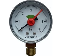 Вертикальный манометр Victoria 50-1/4- 6bar 27-506