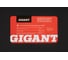 Профессиональный лазерный уровень Gigant 4D 16 линий + штатив 1.6 м GBLL-9 28