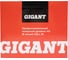 Профессиональный лазерный уровень Gigant 4D 16 линий GBLL-10 25