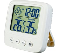 Часы-метеостанция Perfeo Izel 30016125