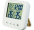 Часы-метеостанция Perfeo Izel 30016125 1