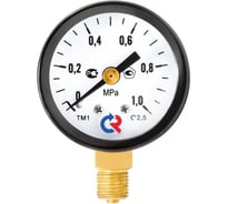 Общетехнический манометр РОСМА ТМ-210Р.00 (0-0.6МПа) ДК50 G1/4, класс точности 2.5 D070-06108