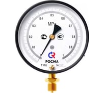 Манометр точных измерений РОСМА ТМ-610РМТИ.00 (0-4МПа) ДК150 М20х1.5, класс точности 0.4 D070-06354