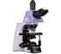 Микроскоп биологический MAGUS Bio 290T 83482 2