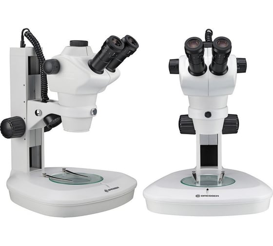 Микроскоп стереоскопический Bresser Science ETD-201 8–50x Trino 74317