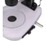 Микроскоп стереоскопический MAGUS Stereo A18T 83490 14