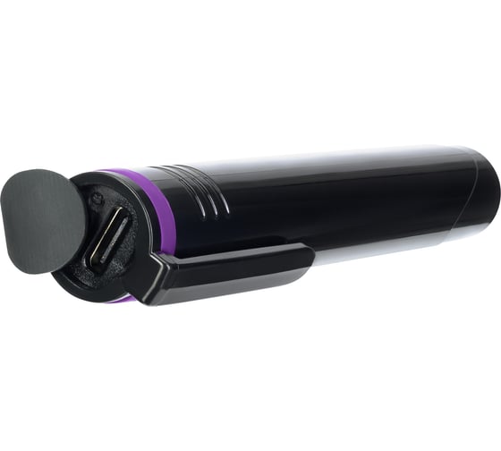 Дозиметр Ermenrich Ping RD20, фиолетовый 84639