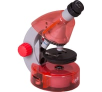Набор Levenhuk LabZZ MV1 Orange: микроскоп и книга 77624