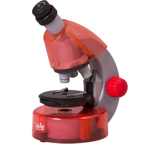 Набор Levenhuk LabZZ MV1 Orange: микроскоп и книга 77624