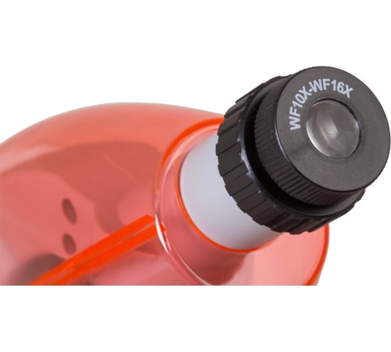 Набор Levenhuk LabZZ MV1 Orange: микроскоп и книга 77624
