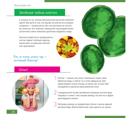 Микроскоп Levenhuk Discovery Micro Polar с книгой 77952
