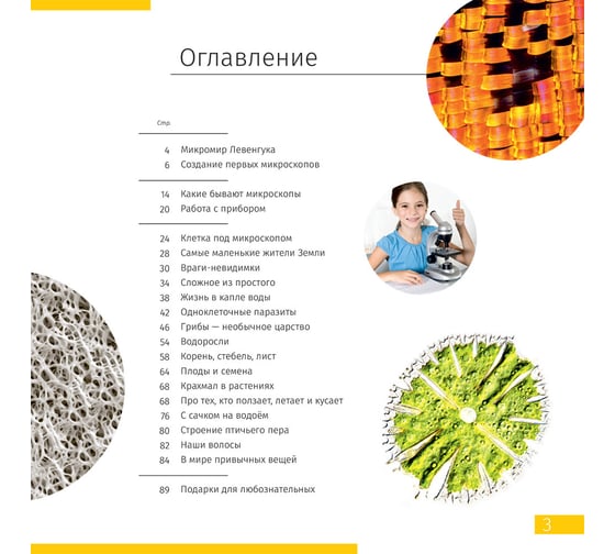 Микроскоп Levenhuk Discovery Micro Gravity с книгой 77948