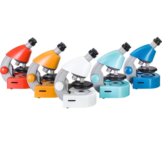 Микроскоп Levenhuk Discovery Micro Terra с книгой 77956