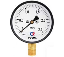 Общетехнический манометр РОСМА ТМ-510Р.00 (0-16МПа) ДК100 М20х1.5, класс точности 1.5 D070-06237