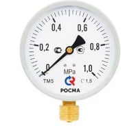 Общетехнический манометр РОСМА ТМ-510Р.00 М2 (0-6МПа) ДК100 М20х1.5, класс точности 1.5 D070-05955