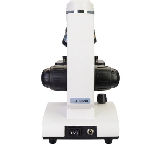 Микроскоп Levenhuk Discovery Femto Polar с книгой 77983