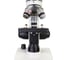 Цифровой микроскоп Levenhuk Discovery Femto Polar с книгой 77986 6