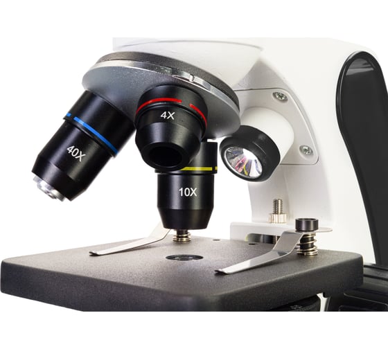 Цифровой микроскоп Levenhuk Discovery Pico Polar с книгой 77980