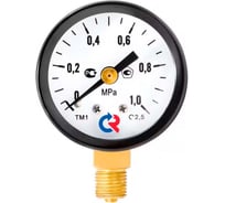 Общетехнический манометр РОСМА ТМ-310Р.00 (0-0.4МПа) ДК63 G1/4, класс точности 2.5 D070-06152